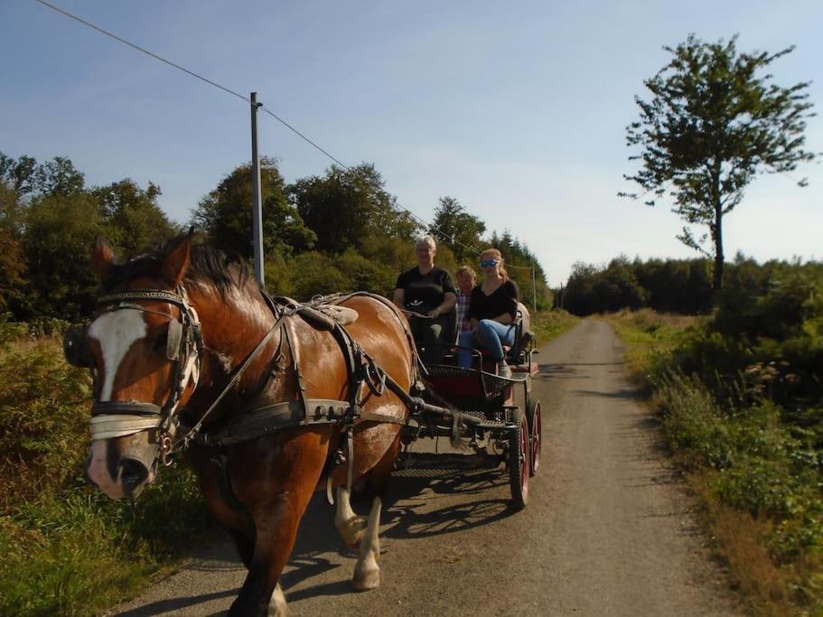 Le Grais Gite : La Cochetiere : Ancienne Ferme 18Eme 빌라 외부 사진