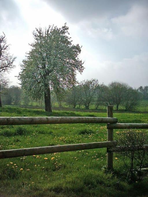 Le Grais Gite : La Cochetiere : Ancienne Ferme 18Eme 빌라 외부 사진